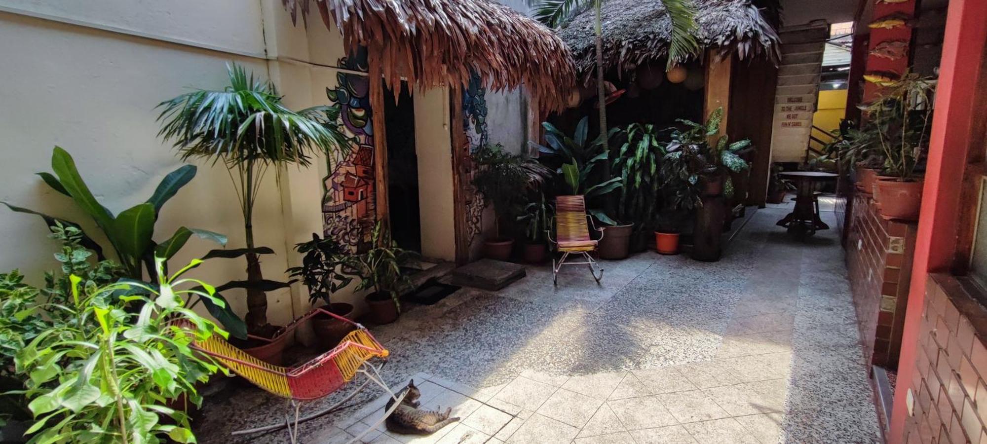Flying Dog Hostel Iquitos Kültér fotó
