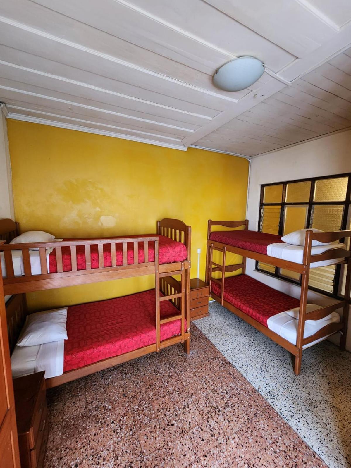 Flying Dog Hostel Iquitos Kültér fotó