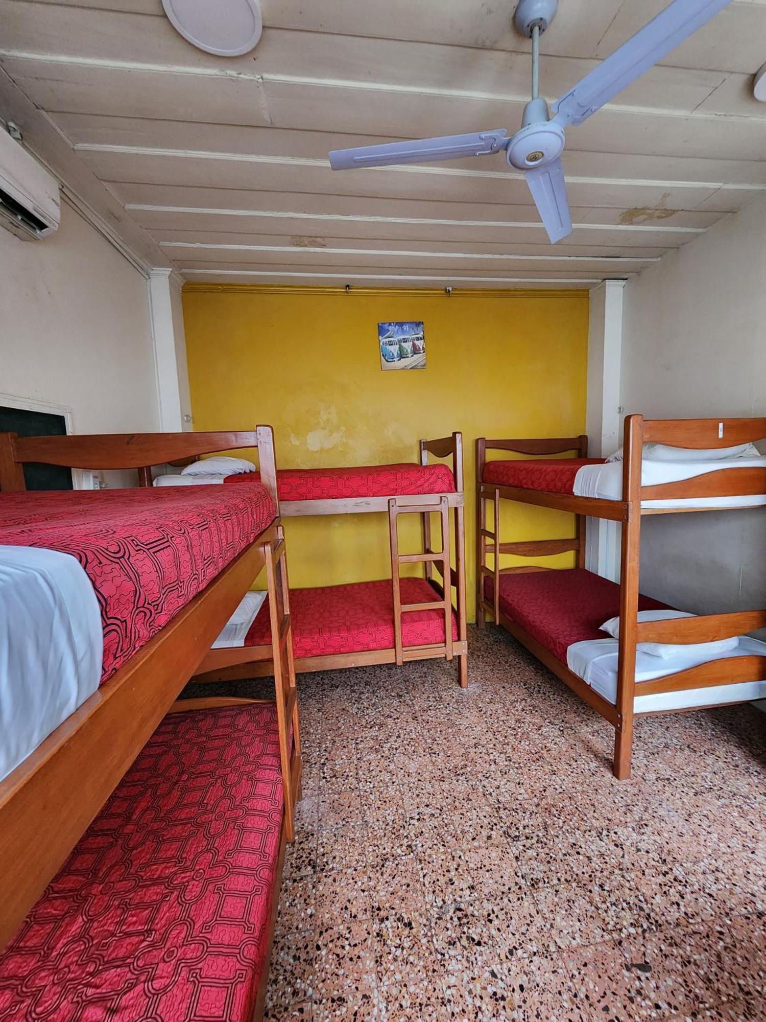 Flying Dog Hostel Iquitos Kültér fotó