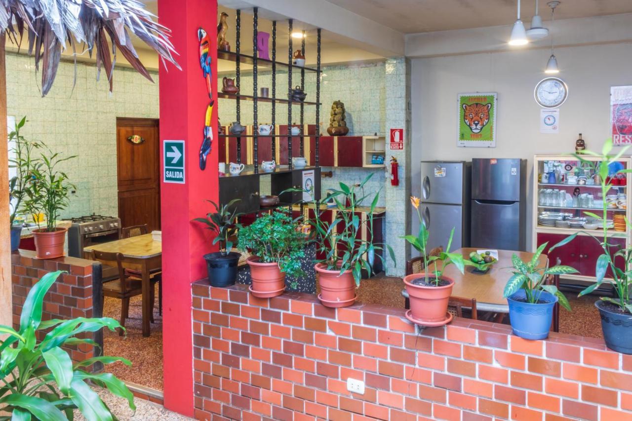 Flying Dog Hostel Iquitos Kültér fotó