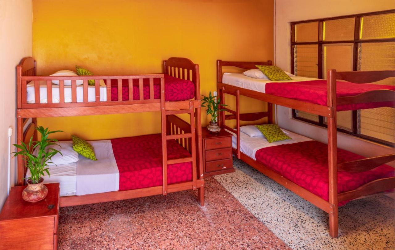 Flying Dog Hostel Iquitos Kültér fotó