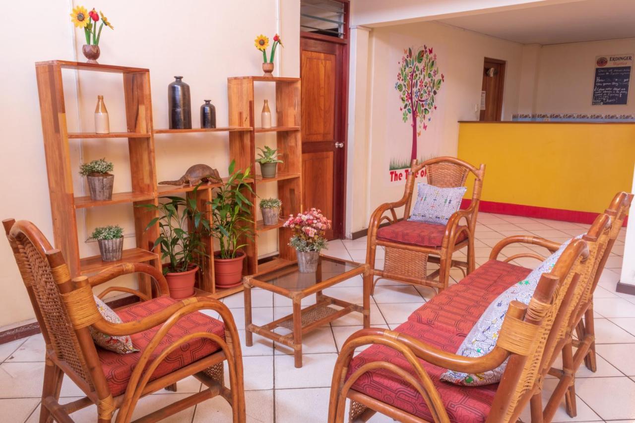 Flying Dog Hostel Iquitos Kültér fotó