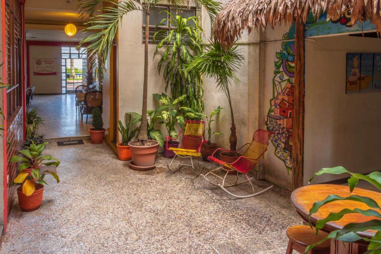 Flying Dog Hostel Iquitos Kültér fotó